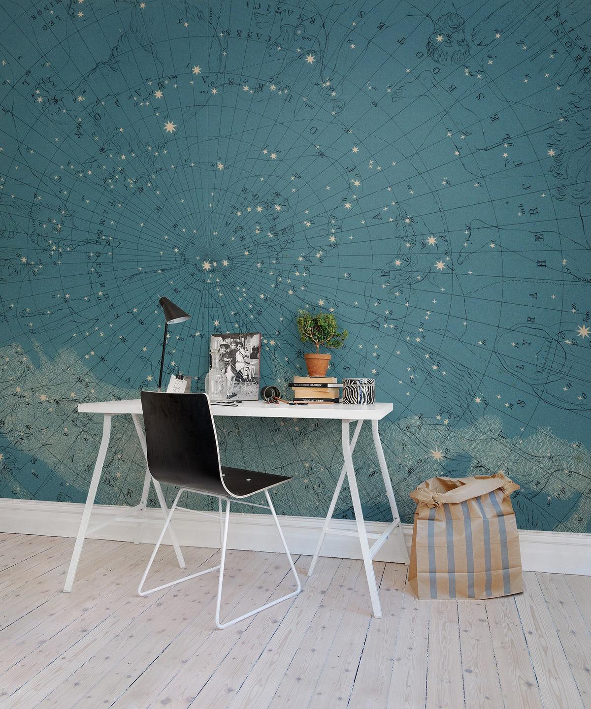 R13811 Atlas Of Astronomy Maps Mural by Rebel Walls
