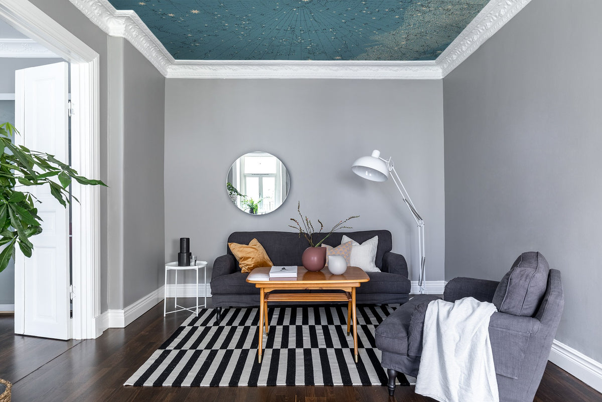 R13811 Atlas Of Astronomy Maps Mural by Rebel Walls