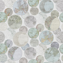 R13884 Globes Gathering Dew Palette Mural by Rebel Walls
