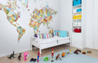 R13891 Triangle Land Maps Mural by Rebel Walls