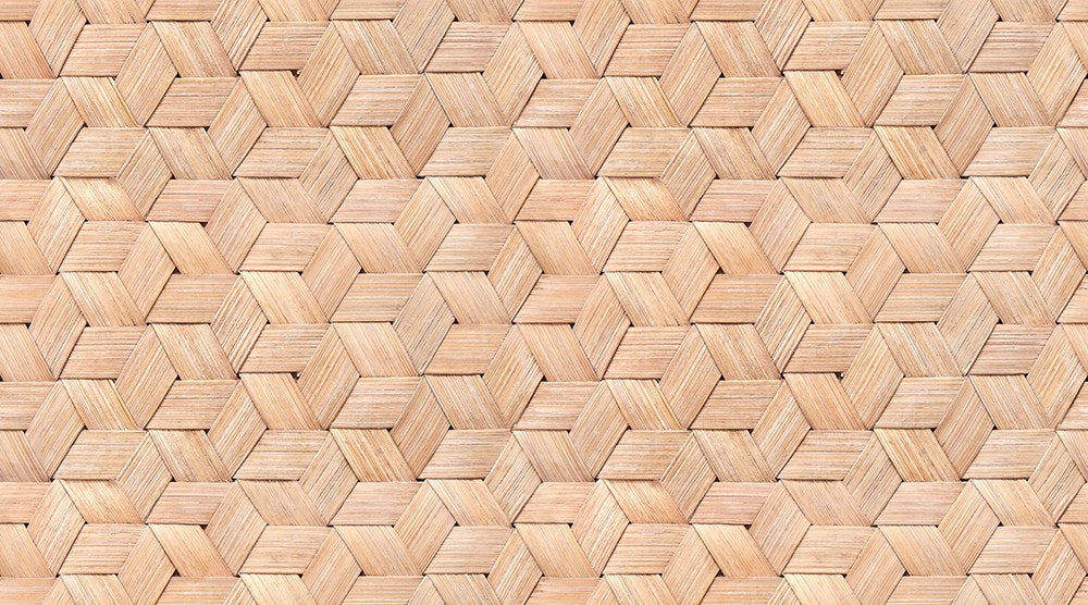 R13931 Birch Bark Braids Passion Mural by Rebel Walls