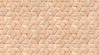 R13931 Birch Bark Braids Passion Mural by Rebel Walls