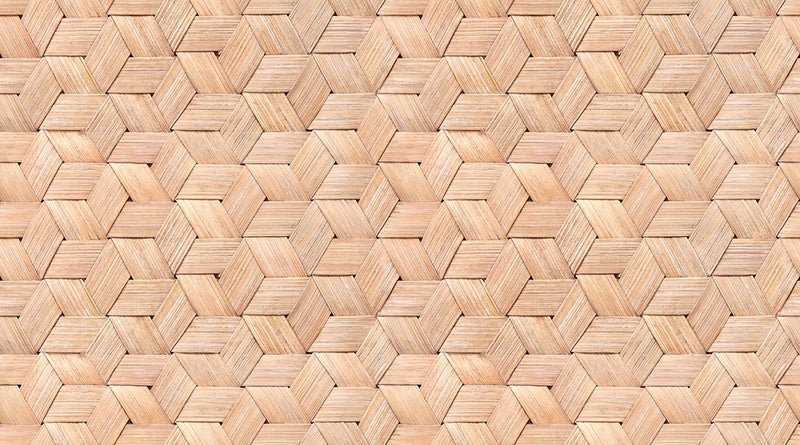 R13931 Birch Bark Braids Passion Mural by Rebel Walls