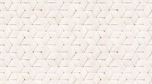 R13932 Birch Bark Braids White Passion Mural by Rebel Walls