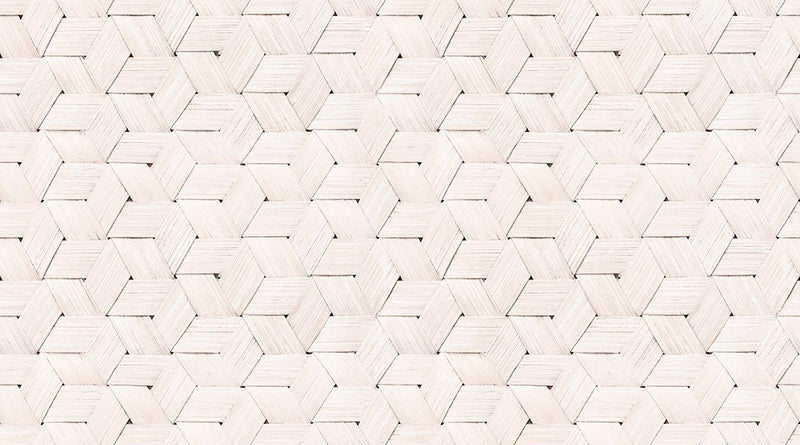 R13932 Birch Bark Braids White Passion Mural by Rebel Walls