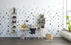 R13951 Lenses Passion Mural by Rebel Walls