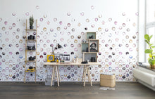 R13952 Lenses Peach Passion Mural by Rebel Walls