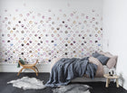 R13952 Lenses Peach Passion Mural by Rebel Walls