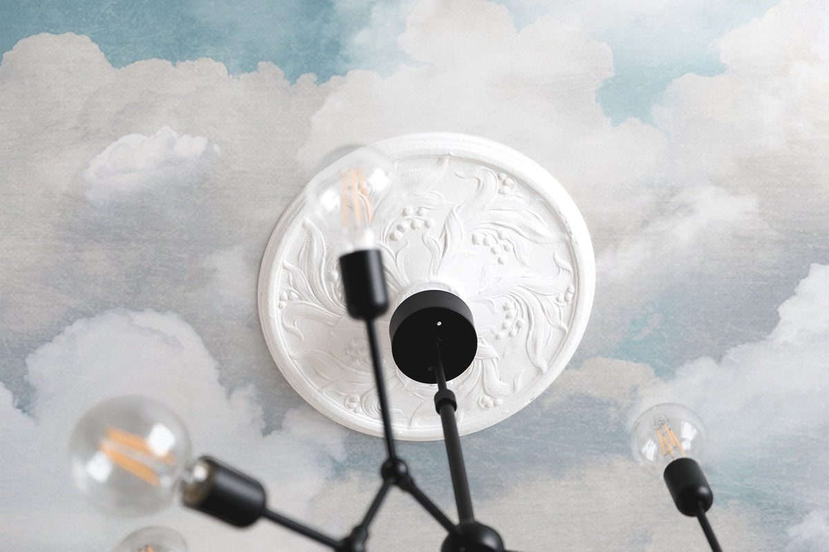 R14012 Cuddle Clouds Ceiling Passion Mural by Rebel Walls