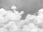 R14013 Cuddle Clouds Graphite Dreamland Mural by Rebel Walls