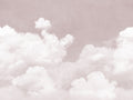 Cuddle Clouds Pink Dreamland Mural by Rebel Walls