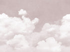 R14014 Cuddle Clouds Pink Dreamland Mural by Rebel Walls