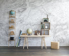 R14071 Elevation Lines White Passion Mural by Rebel Walls