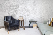 R14071 Elevation Lines White Passion Mural by Rebel Walls