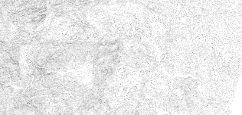 R14071 Elevation Lines White Passion Mural by Rebel Walls