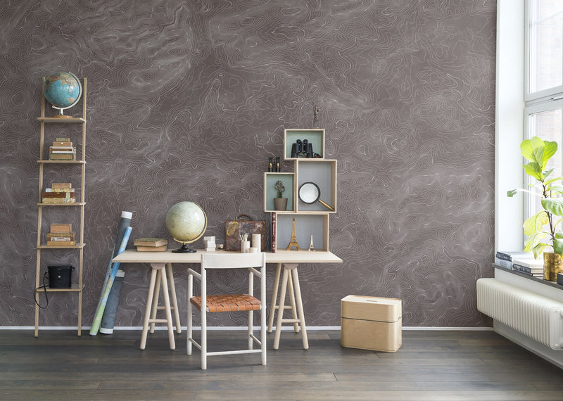 R14073 Elevation Lines Passion Mural by Rebel Walls