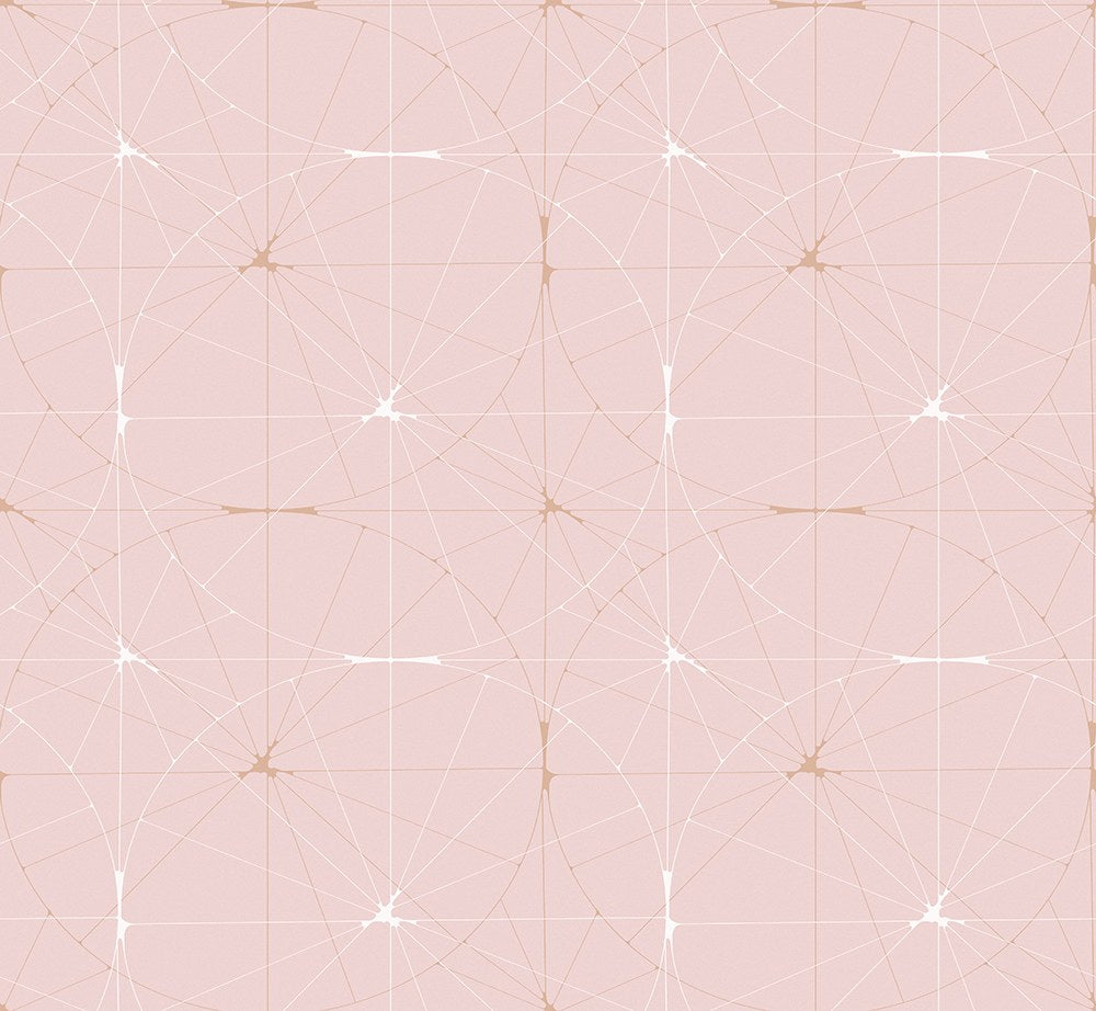 R14113 Perfect Fit Powder Pink Passion Mural by Rebel Walls