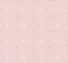 R14113 Perfect Fit Powder Pink Passion Mural by Rebel Walls