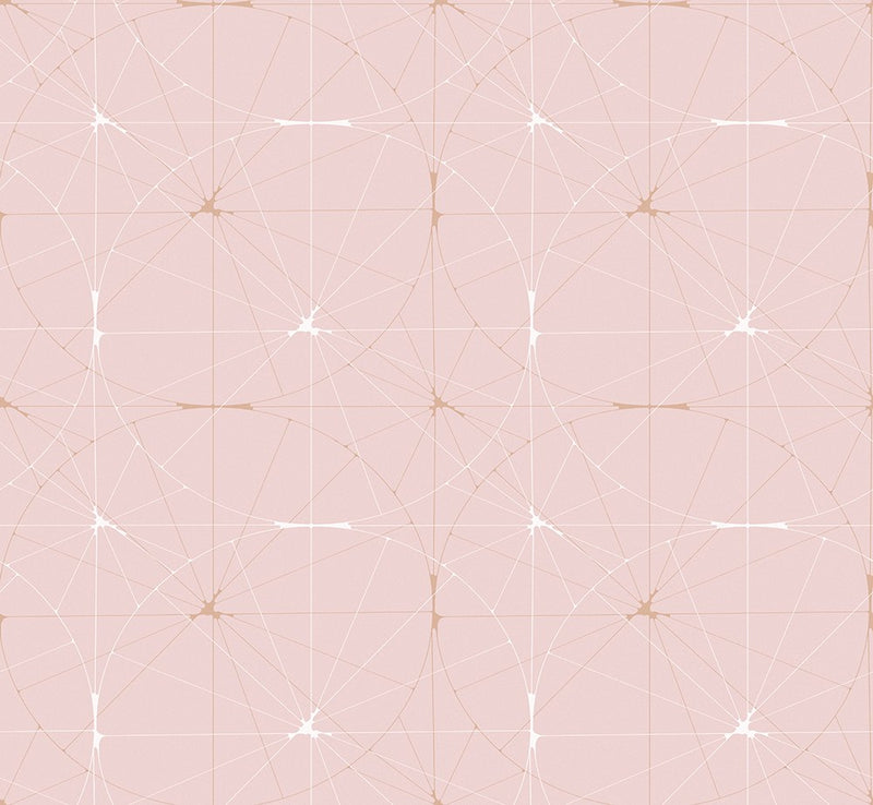 R14113 Perfect Fit Powder Pink Passion Mural by Rebel Walls