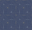 R14114 Perfect Fit Royal Blue Passion Mural by Rebel Walls