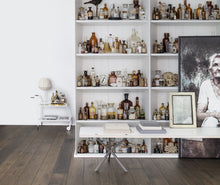 R14181 Cabinet of Curios Curious Mural by Rebel Walls