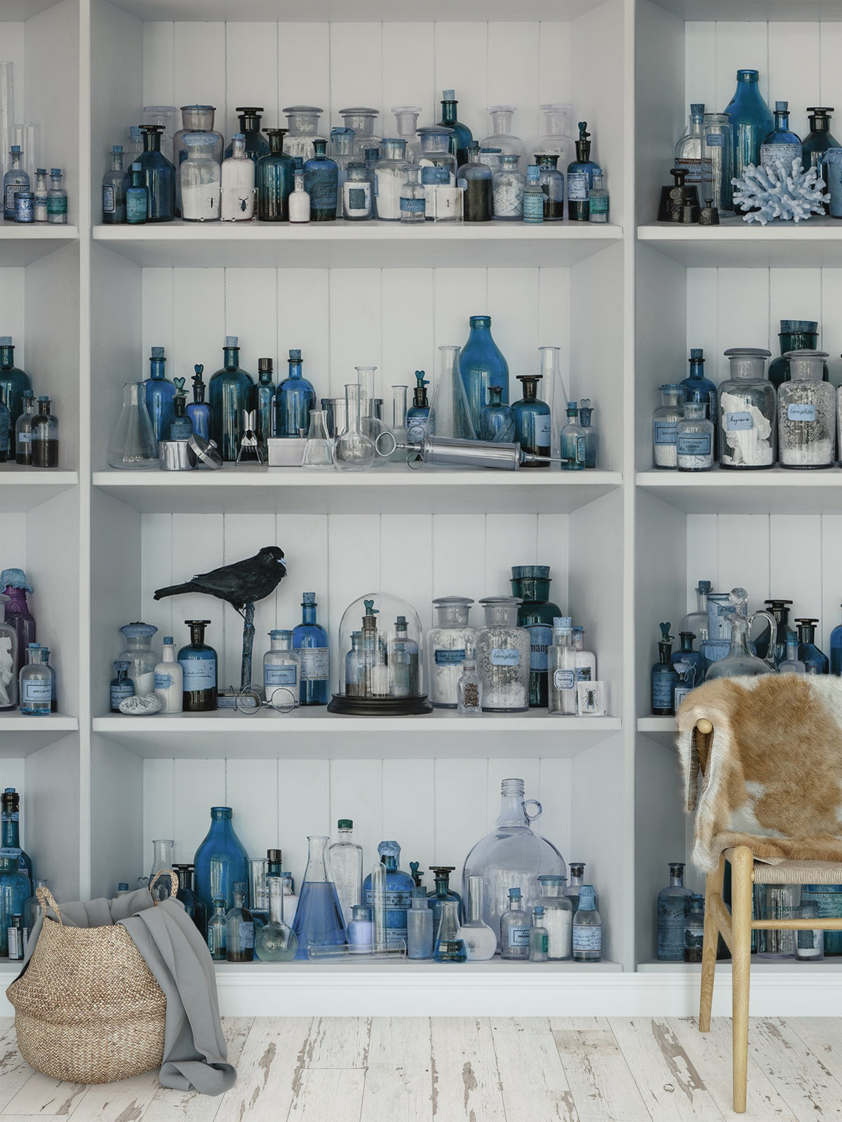 R14183 Cabinet of Curios Sapphire Play Mural by Rebel Walls