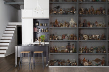 R14184 Cabinet of Curios Night Play Mural by Rebel Walls