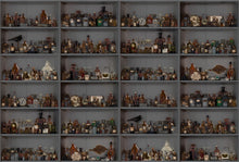 R14184 Cabinet of Curios Night Play Mural by Rebel Walls