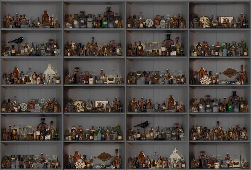 R14184 Cabinet of Curios Night Play Mural by Rebel Walls