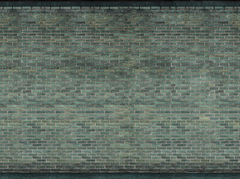 R14211 Urban Emerald Curious Mural by Rebel Walls