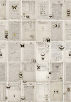 R14251 The Butterfly Library Curious Mural by Rebel Walls