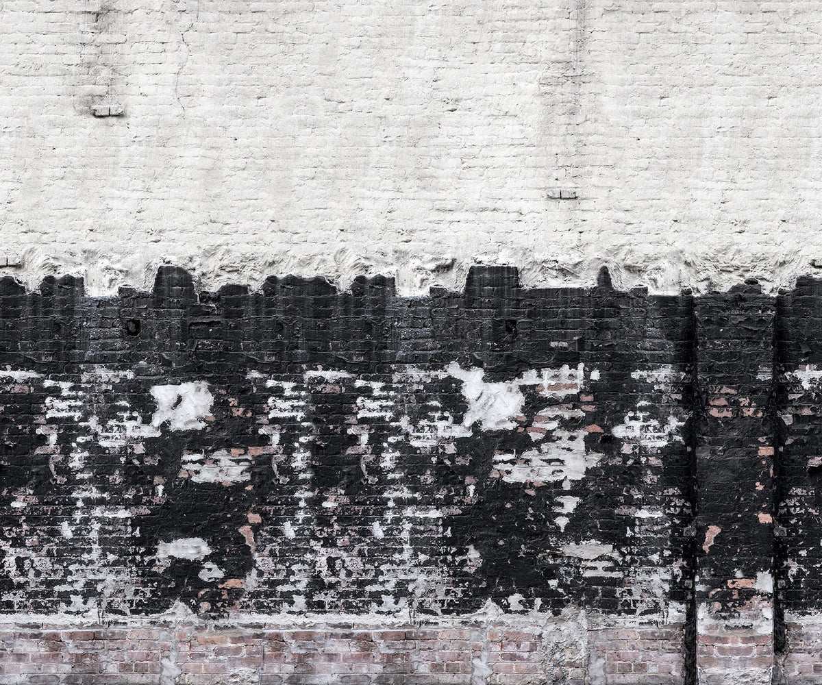 R14281 Deconstructed Domino Curious Mural by Rebel Walls
