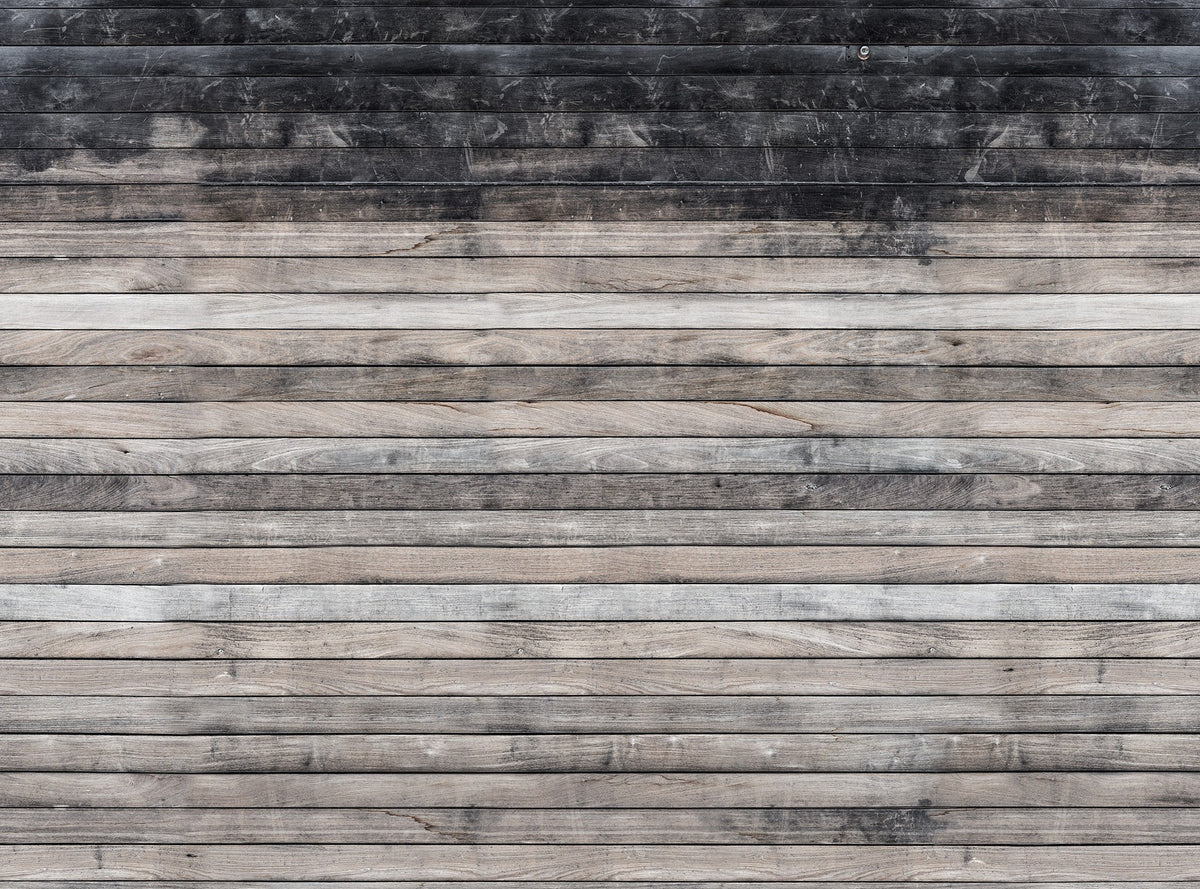 R14291 Worn Wood Curious Mural by Rebel Walls