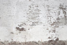 R14321 Industrial Ivory Curious Mural by Rebel Walls
