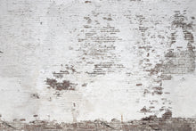R14321 Industrial Ivory Curious Mural by Rebel Walls