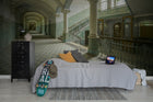 R14331 Bleached Baroque Curious Mural by Rebel Walls