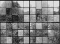 Factory Window Graphite Curious Mural by Rebel Walls