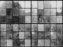 R14382 Factory Window Graphite Curious Mural by Rebel Walls