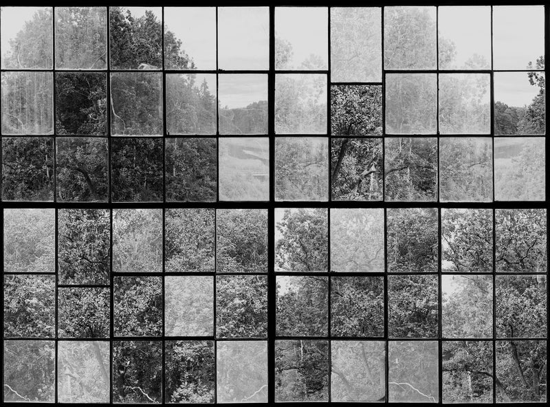 R14382 Factory Window Graphite Curious Mural by Rebel Walls