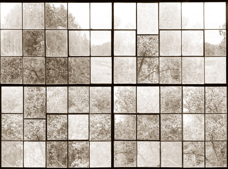 R14383 Factory Window Sepia Curious Mural by Rebel Walls