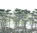 R14461 The Enchanted Forest Daylight Storytime Mural by Rebel Walls