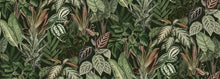 R14592 Mischievous Monkeys Lush Palette Mural by Rebel Walls