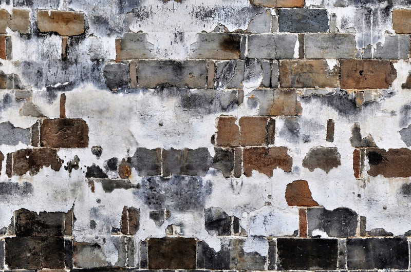 R14831 Slurry Wall Mural by Rebel Walls