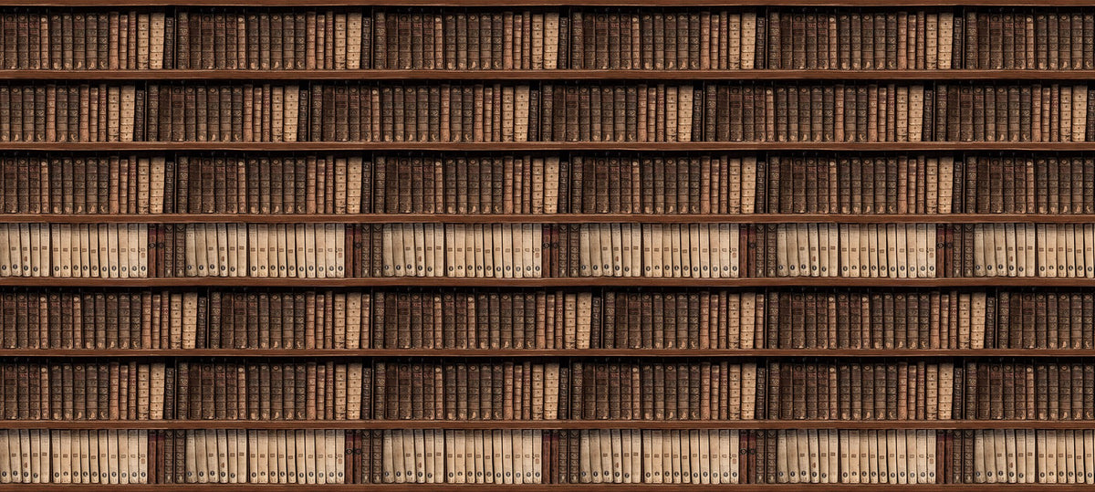 R15041 Antique Books Mural by Rebel Walls