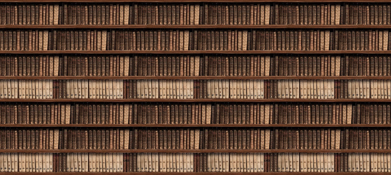 R15041 Antique Books Mural by Rebel Walls