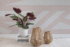 R15142 Sailors Sea Pink Shore & Lines Mural by Rebel Walls