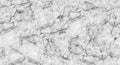 Marble Art Graphite Pops Mural by Rebel Walls