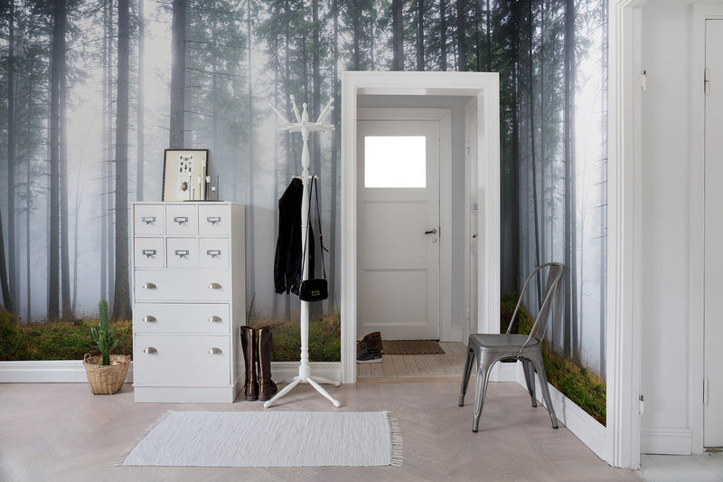 R15201 Forest Glade Home Mural by Rebel Walls