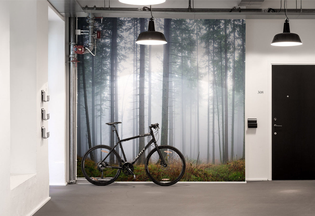 R15201 Forest Glade Home Mural by Rebel Walls