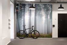 R15201 Forest Glade Home Mural by Rebel Walls